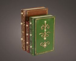 LED Buch Indoor 15,5x18,5x27cm