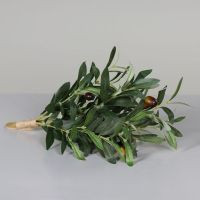 Olivenbund zum hängen 40cm