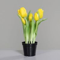 Tulpen im schwarzen Kunststofftopf gelb 25cm