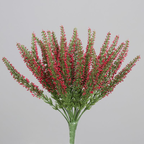 Erika Calluna 26cm fuchsia