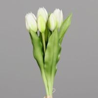 Tulpen Bund creme 31cm