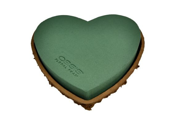 Oasis biolitherz 25cm 4 Stück