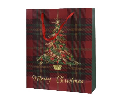 Geschenktasche Papier rot 8x18x24cm