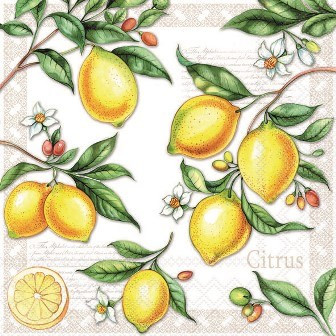 Serviette Citrus 33x33cm