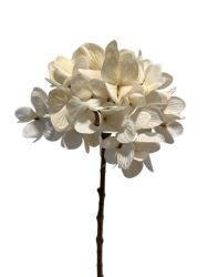 Hortensie cremeweiß 45cm