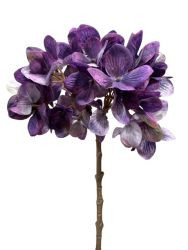 Hortensie violett 45cm