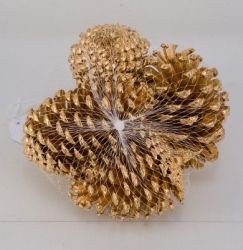 Tannenzapfen 8-10cm gold 4Stk. im Netz 14x13x12cm