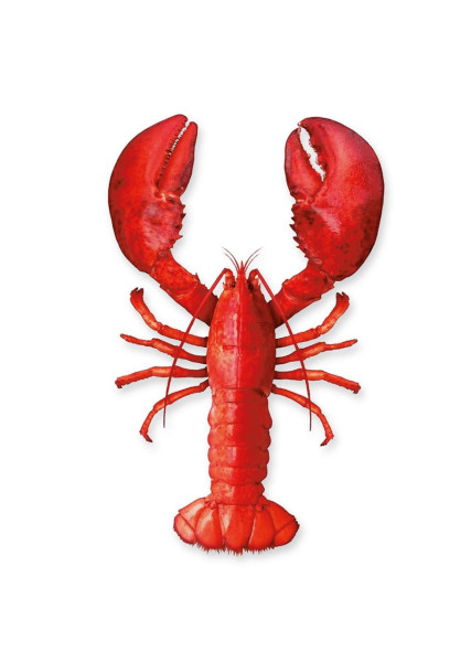Geschirrtuch Digitaldruck Lobster 50x70cm