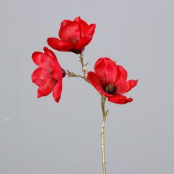 Magnolie mit drei Blüten rot 55cm