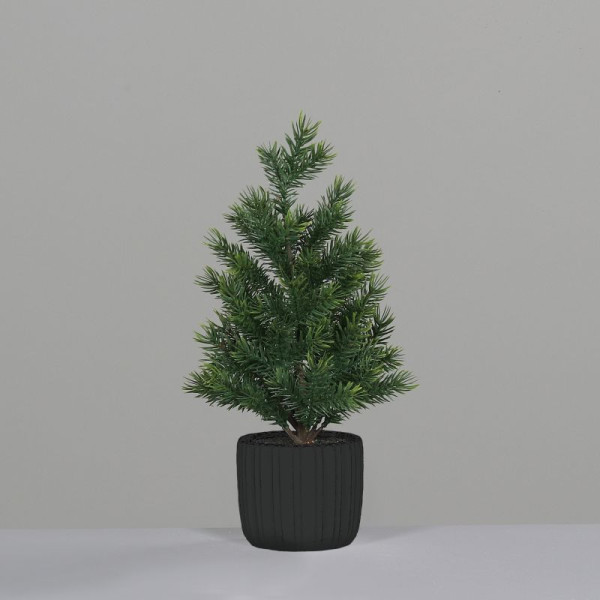 Tannenbaum im anthrazit Topf 40cm