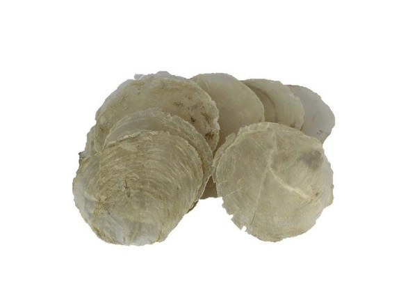 Muschel Capiz perle 200g