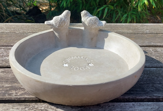 Vogeltränke Swimming pool 25x25x10cm