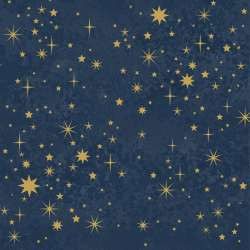 Serviette Atelier 33x33cm At. All that twinkles midnight