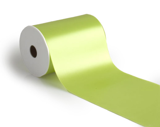 Band WIDE SATIN 25mx100mm Fb.62 spring green