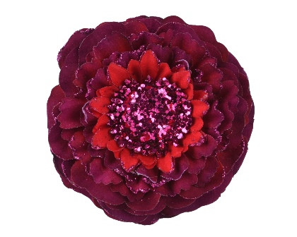 Blume ochsenblut 10x3cm