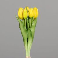 Tulpen Bund gelb 31cm