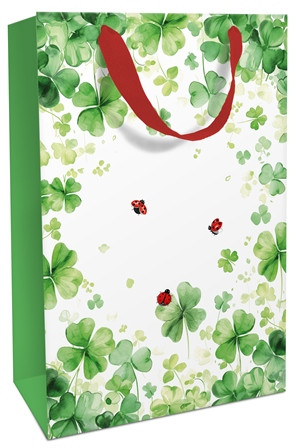 Geschenktasche 24x36x13cm Lucky You