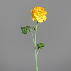 Ranunkel gelb 45cm