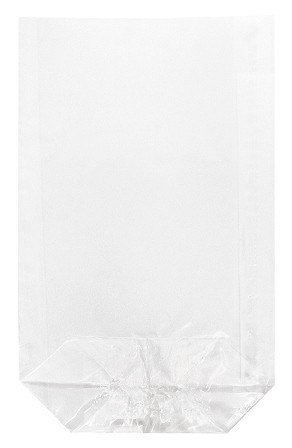 Klarsichtbeutel 9,5x16cm 10Stück unbedruckt