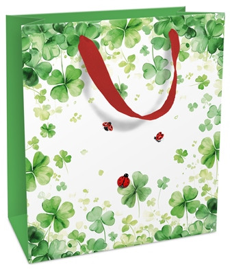 Geschenktasche 18x21x8cm Lucky You