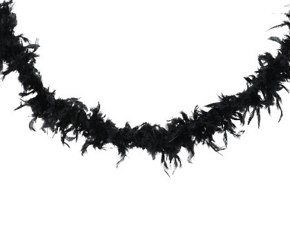 Federboa schwarz 10x10x184cm
