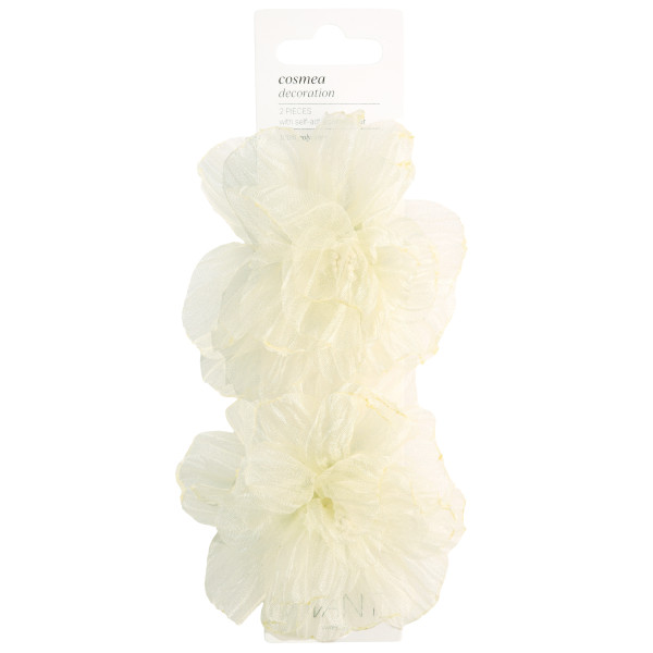 Deko COSMEA Ø9cm Set 2 Stück creme
