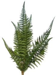 Farnbusch grün 45cm