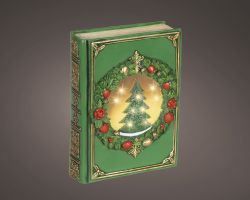 LED Buch grün Indoor 6,5x16,5x22cm