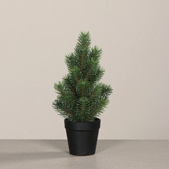 Tannenbaum 30cm schwarzer Topf