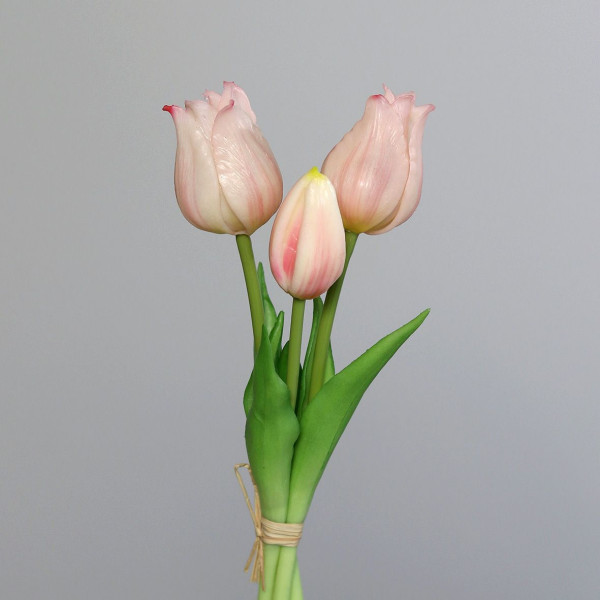 * Bund Tulpen rosee 22cm